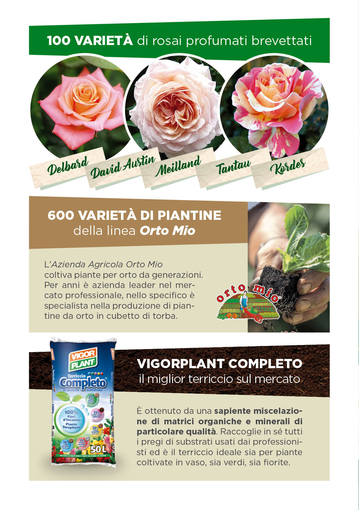 exe pieghevole A5 garden maggio 2018 2
